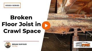 How to Repair a Broken Floor Joist in Crawl Space  KC Pier [upl. by Runkle]