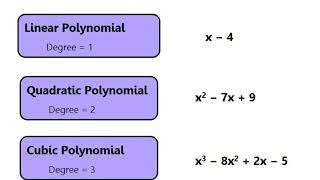 POLYNOMIALS SONG [upl. by Alig]