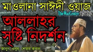 আল্লাহর সৃষ্টি নিদর্শন।  Bangla Waz by Mawlana Delwar Hossain Saidi [upl. by Carmelle137]