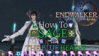 FFXIV Endwalker Level 90 Sage Guide Opener Rotation Stat Priority amp Playstyle etc Outdated [upl. by Maghutte632]