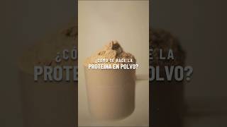 ¿Cómo se hace la proteína 😱proteina proteinaenpolvo deportesuplementos protein comosehace [upl. by Nolur]