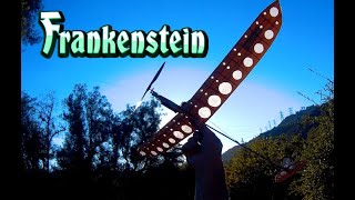 Frankenstein Power RC Glider [upl. by Fonz]