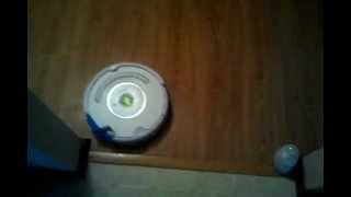 Roomba  Laser Pointer  KITTY FUN [upl. by Gillmore]