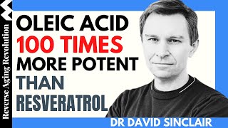 DAVID SINCLAIR “Oleic Acid 100 Times More Potent Than Resveratrol”Dr David Sinclair Interview Clips [upl. by Abisia51]