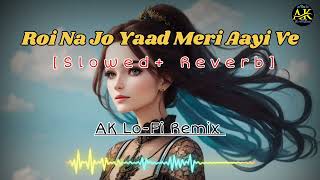 🎙️ROI NA JO YAAD MERI AAYE VE LOFI REMIX  SAD SONG SLOWED  REVERB lofi dj slowedandreverb yt [upl. by Loretta]