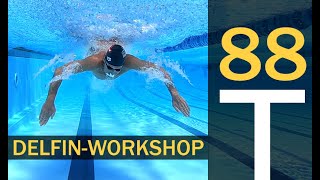 Der DELFINWORKSHOP  in 60 Minuten Delfinschwimmen lernen  PLAN No 88 [upl. by Halstead779]