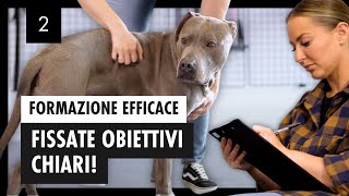 Addestramento CANINO Corretto Imposta Obiettivi Chiari E Allena Con Efficacia – Giorno 2 [upl. by Bowra]