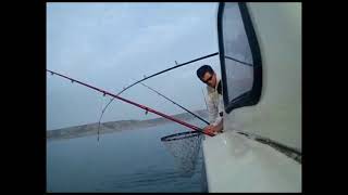 Gower Fishing Swansea [upl. by Eiramadnil691]