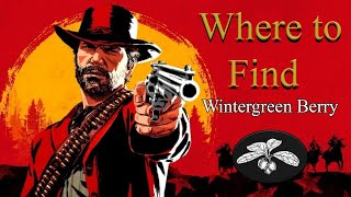 RDR2 Online  Wintergreen Berry locations [upl. by Garland809]