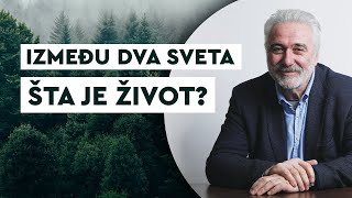 IZMEĐU DVA SVETA  Šta je život  Pozitivno sa dr Nestorovićem [upl. by Bravin]