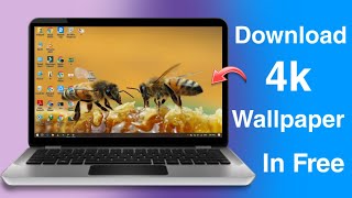 How To Download 4K Wallpapers  Thems For LaptopPC  Edition 2024 [upl. by Lisan]