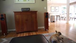 Peachtree Nova 220 Totem Acoustic Hawks Male and Female Vocal Demo [upl. by Meehahs652]