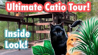 A Cats Paradise Explore Two Stunning Custom Catios [upl. by Kotto]