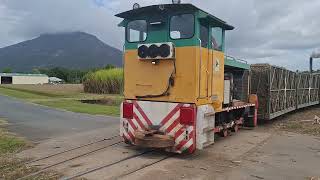 Locos moving around Mulgrave Mill [upl. by Demah]