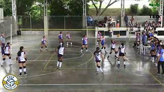 Dinastía Black VS Americano  Infantil Femenino  Circuito de Voleibol 2024 [upl. by Oigufer]