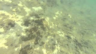 Aweoweo Beach Croziers North Shore Oahu Waialua [upl. by Asilahs]