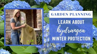 Garden Planning  Learn About Hydrangea Winter Protection [upl. by Ileak]