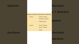 Streptococci distinction with Optochin and Bacitracin USMLE Quick Review  Mnemonic shorts [upl. by Tiat]