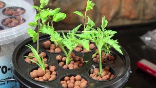 AeroPot Aeroponics System Review  My new Hydroponics Toy [upl. by Akirehc]