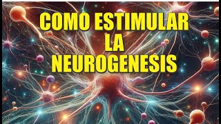 Como estimular la neuro genesis [upl. by Shear]