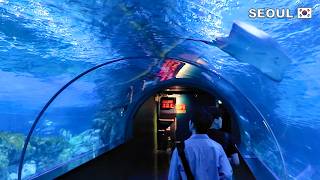 Walking Seoul COEX Aquarium inside COEX Mall seoulmysoul seoultravelguide [upl. by Eiramlatsyrk]