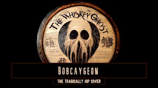 Bobcaygeon cover [upl. by Penelope]