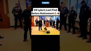 K9 Lykas Last Find Before Retirement 👈❤️ [upl. by Ayotas766]