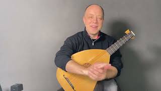 The Fundamentals of Lute Playing Episode 43 Ring Finger Planting [upl. by Anirhtak505]