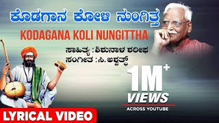 Elliruve Manava Kaduva Roopasiye Kannada Song  Bayalu Daari Movie Songs  Ananth Nag [upl. by Eenert]