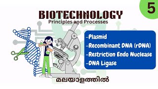 PLASMIDDNA LIGASE REN rDNA  BIOTECHNOLOGY PRINCIPLES AND PROCESSES PART 5  2 STUDY BOTANY 2024 [upl. by Alra]