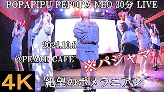 絶望のポメラニアン【４K横動画】2024106・POPAPIPUPEPOPA NEO・PEACE CAFE [upl. by Tiffani]