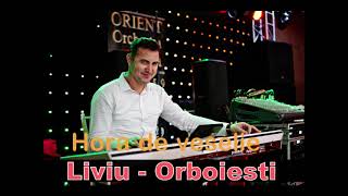 Hora de veselie la ras la Ilie Liviu de la Orboiesti live in 2013 hora de joc [upl. by Lyred]