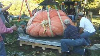 Giant Pumpkin Mania 2009 [upl. by Harlan]