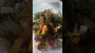 Seaweeds lover short video [upl. by Kieffer437]