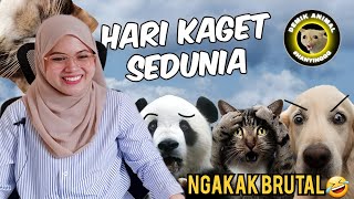 HEWAN HEWAN APA YANG KOCAK⁉️DEMIK ANIMAL😂  REACTION DEMIK ANIMAL PART 2 ‼️ [upl. by Salomone]