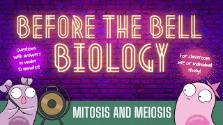 Mitosis and Meiosis Before the Bell Biology [upl. by Honebein]