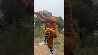 Traditional kung fu traditional boxingKung FuChinese Kung FuChinese Wushu Wushu training [upl. by Pump]