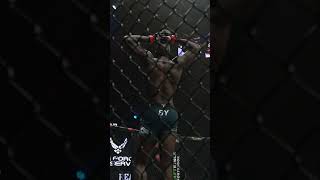 THE REF STEPS IN Sadibou Sy scores the TKO in round 3 mma mmafighter pfl [upl. by Reste787]