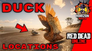 RDR2 the best Duck locations tips and tricks in Red Dead Online [upl. by Krystle]