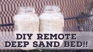 DIY Freshwater Remote Deep Sand Bed [upl. by Sedrul]