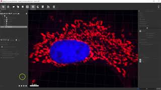 Imaris  Spots for Mitochondria Estimates [upl. by Ynnav]