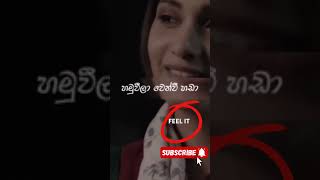 පෙම්වන්තයින් සේ සිනාසී  Pemwanthain Se Sinasi shorts trendingshort lyrics feelit1604 [upl. by Weigle]