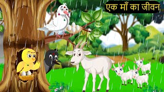 कार्टून  Tuni Chidiya Ka Ghar  Minu  Rano Chidiya wala cartoon  Hindi New Chidiya  Chichu TV [upl. by Lewes]