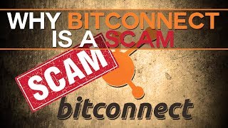 BitConnect BCC  Heres why BitConnect is a scam [upl. by Buderus]