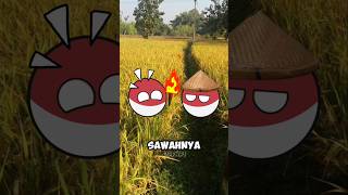 Nasi bakar🔥 countryballs [upl. by Enortna]