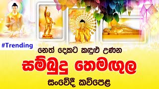 Sambudu Themagula  සම්බුදු තෙමඟුල  සංවේදී කවිපෙළ  Massanne VijithaThero [upl. by Vieva719]