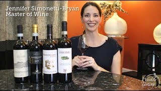 Common Italian Reds  Guided Wine Tasting [upl. by Rogerg]