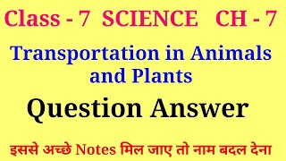 transportation in plants and animals class 7 question answer  class 7 science ch 7 question answer [upl. by Erehpotsirhc]