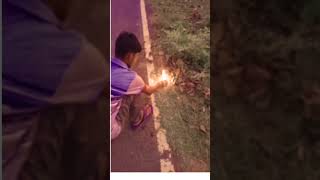 Happy Diwali shorts viralvideo happydiwali love song music village Mediconishantvlogs950 [upl. by Eirek570]