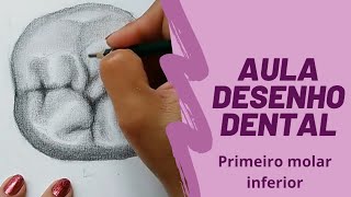 Aula Desenho Dental completa [upl. by Eynenihc]